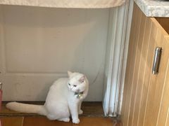 -彳亍咖啡·这里(水湾路店)