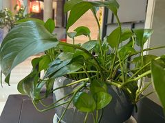 -寿州大饭店·餐厅