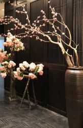 -盘子女人坊古装写真摄影(深圳店)