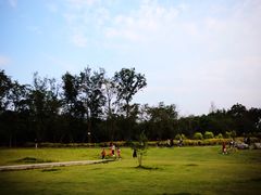 -三圣花乡旅游区