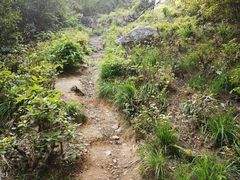 -青龙山国家森林公园