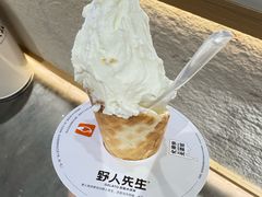 -野人牧坊Gelato(天津南开大悦城店)