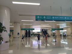 -中国人民解放军总医院(301医院)
