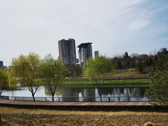 -西海子公园