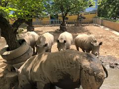 -西安秦岭野生动物园