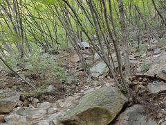 -北京密云天门山风景区