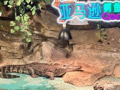 -重庆欢乐海底世界