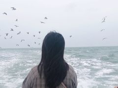 -海驴岛(荣成市)