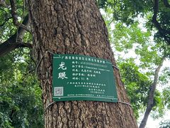 -南宁南湖公园