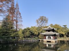 -水绘园