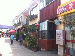 -大湾区中央湿地公园-十九涌
