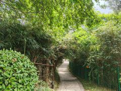 -燕儿岛山公园