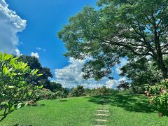 -中国科学院西双版纳热带植物园