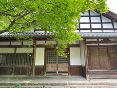 -西芳寺(苔寺)