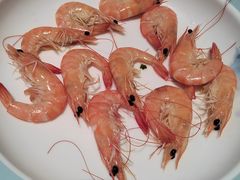 -天鹰观渔(梦园店)