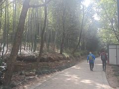 -虞山风景区