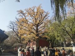 -晋祠公园