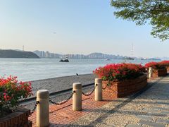 -演武大桥观景平台