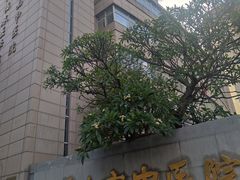 -佛山市中医院(院本部)