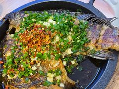 铁板鲫鱼-聚鑫朋酸菜肥肠(九龙仓店)