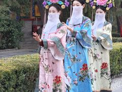 -白家大院·王府宫廷菜(苏州街店)