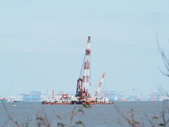 -上海滨江森林公园