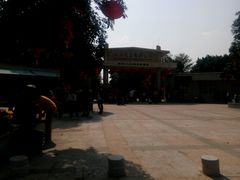 -广东茂名森林公园