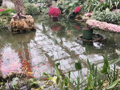 -南通洲际绿博园