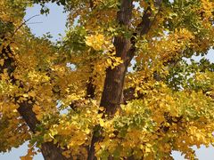 -西安汉城湖景区