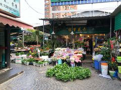 -曲阳花鸟市场(曲阳路店)