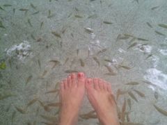 -碧水湾温泉