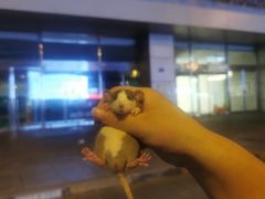 -中影华臣影城VLED(赠4小时停车 西安路店)