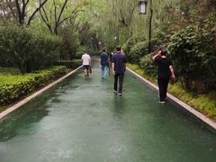 -迎泽公园