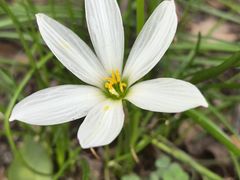 -白塘生态植物园