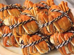 -雅和生态渔庄·宜城锅巴饭(龙灵山公园店)