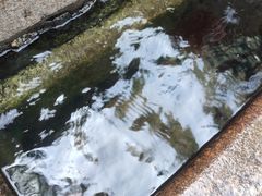 -白沙古井