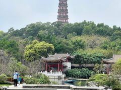 -顺峰山公园