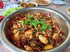 -食神又名厕所兔