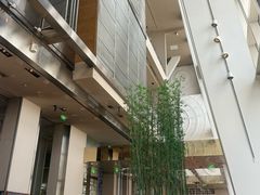 -上海柏悦酒店