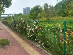 -石湖景区