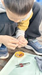 -钓虾工场·钓虾·赶海(回龙观店)