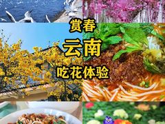 -海埂大坝