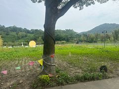 -南北湖风景区