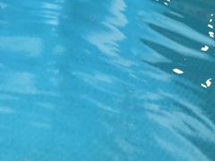 -长春宾馆·丽豪浴都