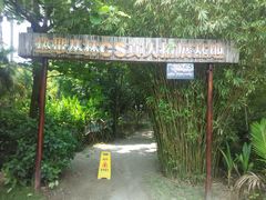 -三亚珠江南田温泉度假区