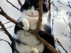 -巧云大馄饨(南阴阳营总店)