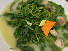浓汤浸桑叶-广东道至正餐厅(区庄店)