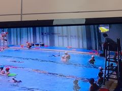-曹杨游泳馆