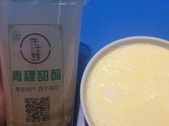 -德禄酸奶(莫家街店)