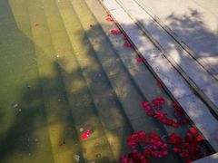 -中国艺术研究院油画院